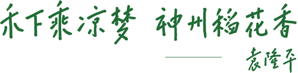 禾下纳凉梦 神州稻花香